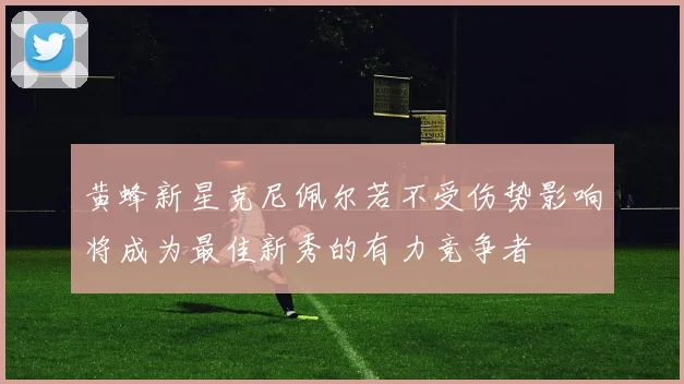 黄蜂新星克尼佩尔若不受伤势影响将成为最佳新秀的有力竞争者