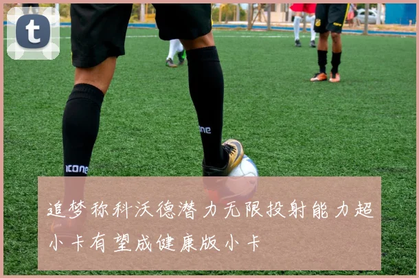 追梦称科沃德潜力无限投射能力超小卡有望成健康版小卡