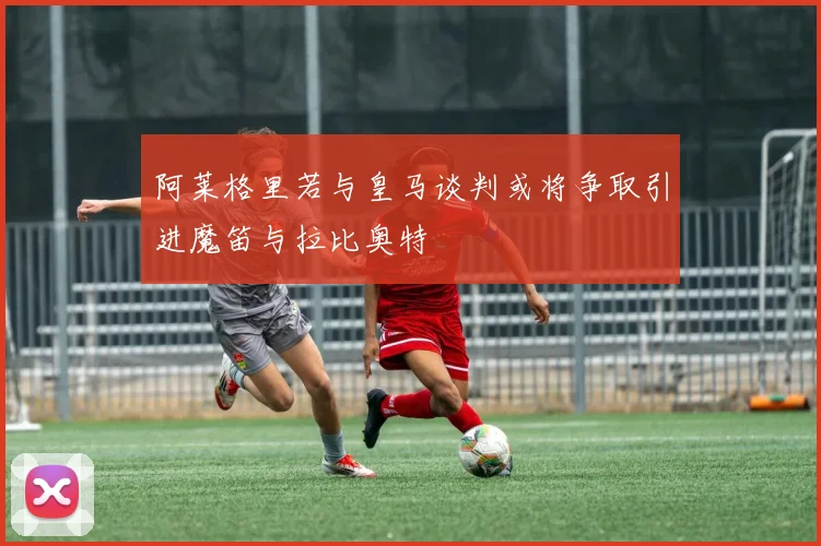 阿莱格里若与皇马谈判或将争取引进魔笛与拉比奥特