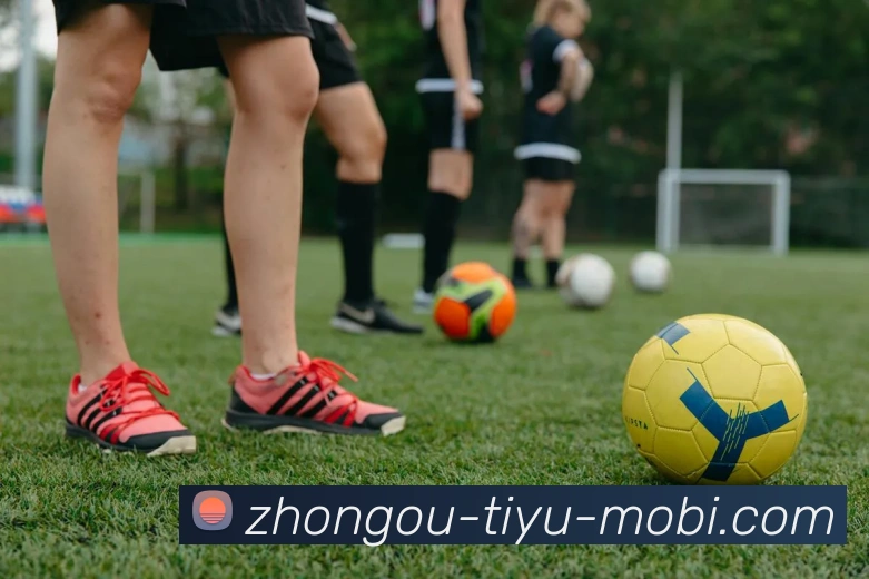 中欧体育全站App